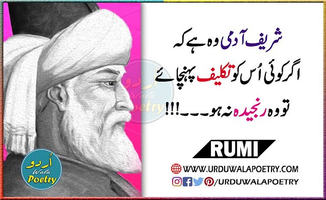 hurt quotes in urdu