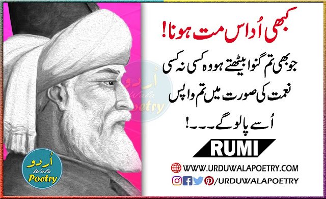 Maulana Muhammad Rumi Quotes