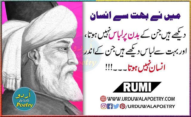 Rumi Quotes on Humanity