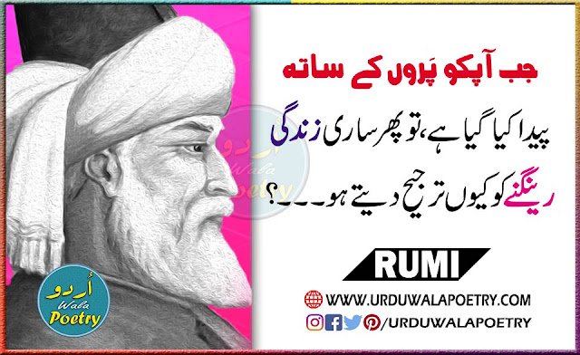 Maulana Rumi Quotes
