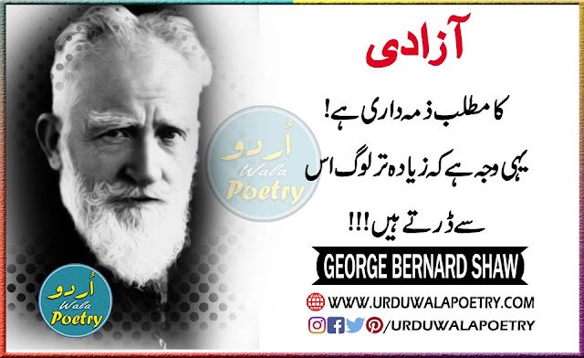 Freedom Quotes by George Bernard Shaw