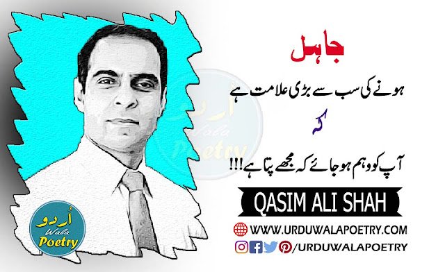 Qasim Ali Shah Quotes on Illusion