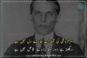 Essay-on-Quaid-e-Azam-in-Urdu-with-poetry