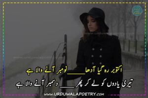 december-romantic-poetry-in-urdu