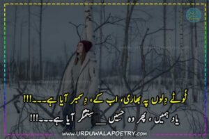 decent-poetry-in-urdu