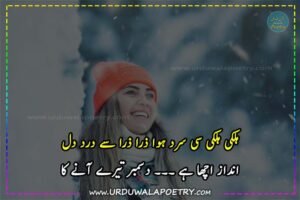 sad-poetry-in-urdu-text-copy-paste